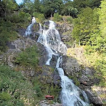 Krone - Tor Zum Suedschwarzwald 3*