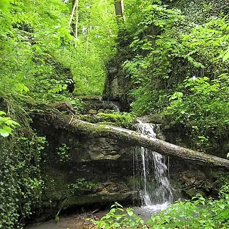 Krone - Tor Zum Suedschwarzwald شتولينغن