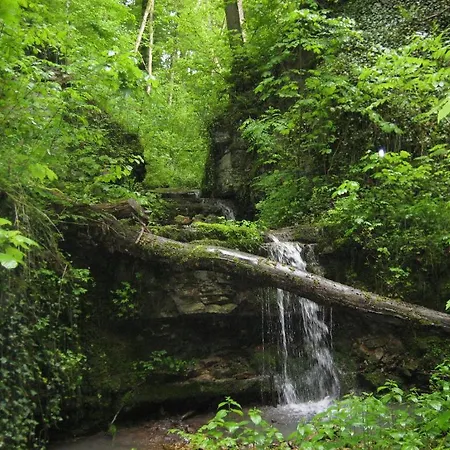 Krone - Tor Zum Südschwarzwald 3*