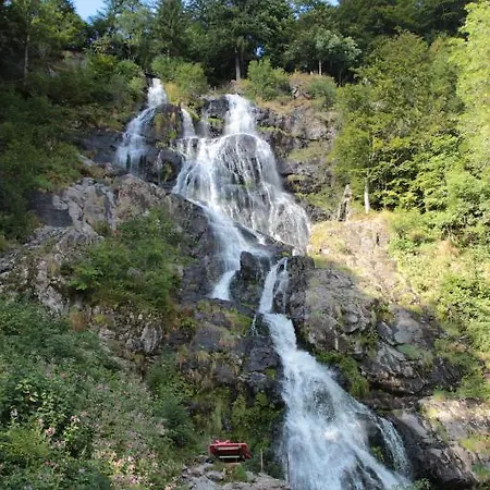 Krone - Tor Zum Südschwarzwald