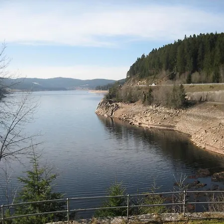 מלון Krone - Tor Zum Suedschwarzwald 3*