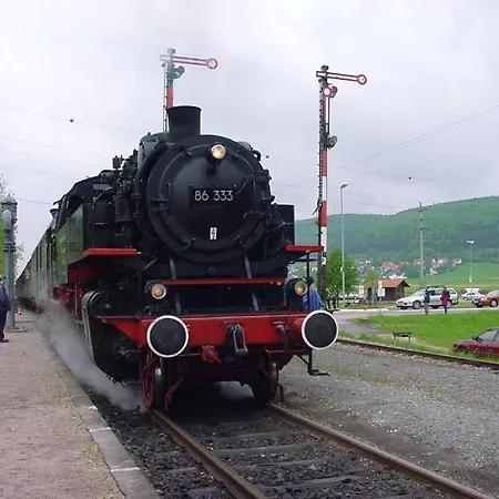 Krone - Tor Zum Suedschwarzwald מלון