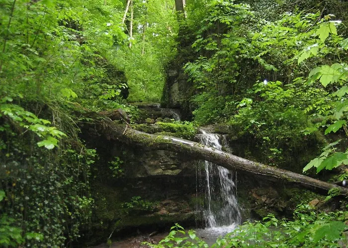 Krone - Tor Zum Suedschwarzwald 3*