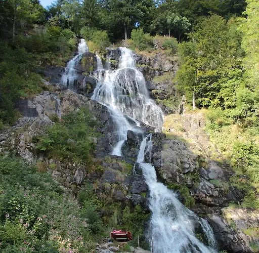Krone - Tor Zum Suedschwarzwald