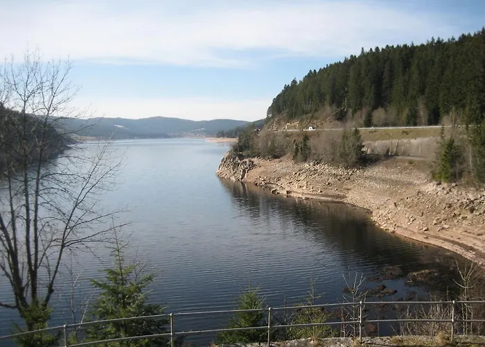 Otel Krone - Tor Zum Suedschwarzwald 3*